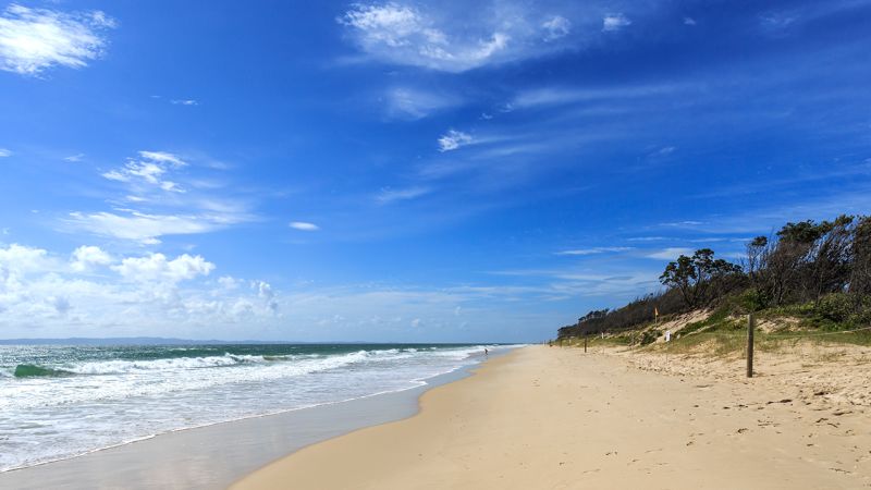 Australian Tourist Spot: Teenage Girl Dies In Fatal Shark Attack Australian Tourist Spot: Teenage Girl Dies In Fatal Shark Attack