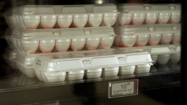 Canada's Egg Prices: Why We're (Mostly) Safe From Sky-High Costs Canada's Egg Prices: Why We're (Mostly) Safe From Sky-High Costs