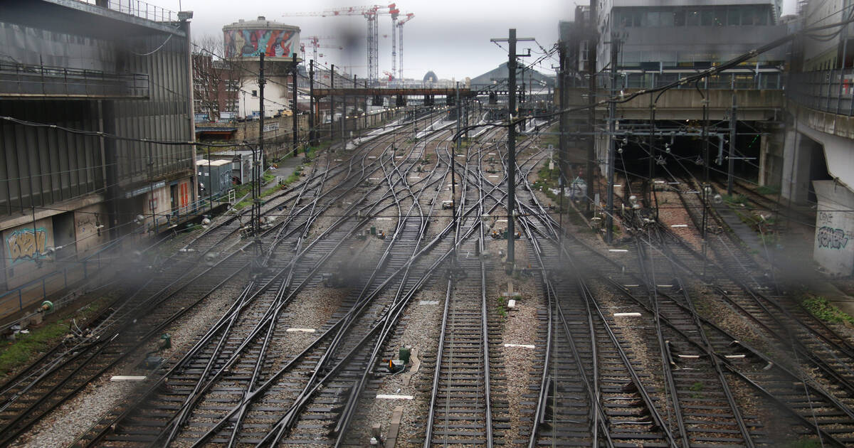 Drame À La Gare D'Austerlitz : Un Homme Blessé Par Balle Par La Police Drame À La Gare D'Austerlitz : Un Homme Blessé Par Balle Par La Police