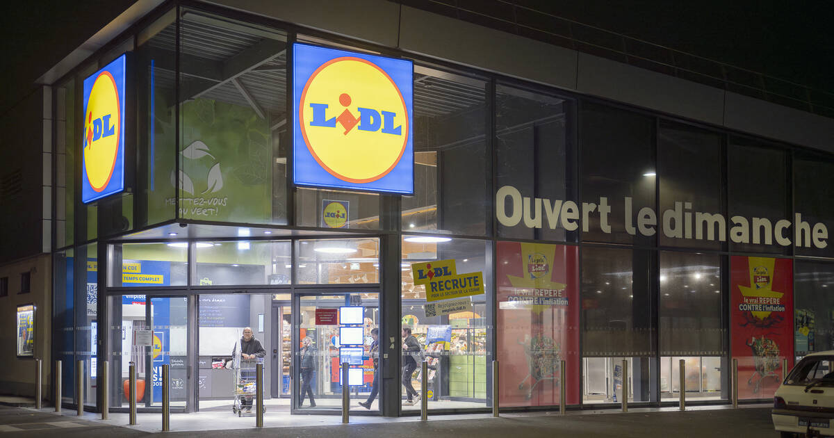 Grève Illimitée Chez Lidl : Salaires Bas Et Surcharge De Travail Au Cœur Du Conflit Grève Illimitée Chez Lidl : Salaires Bas Et Surcharge De Travail Au Cœur Du Conflit