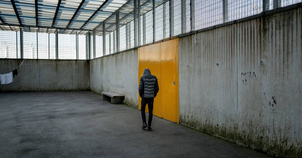 Immigration En France : Hausse Des Expulsions Et Des Régularisations Immigration En France : Hausse Des Expulsions Et Des Régularisations
