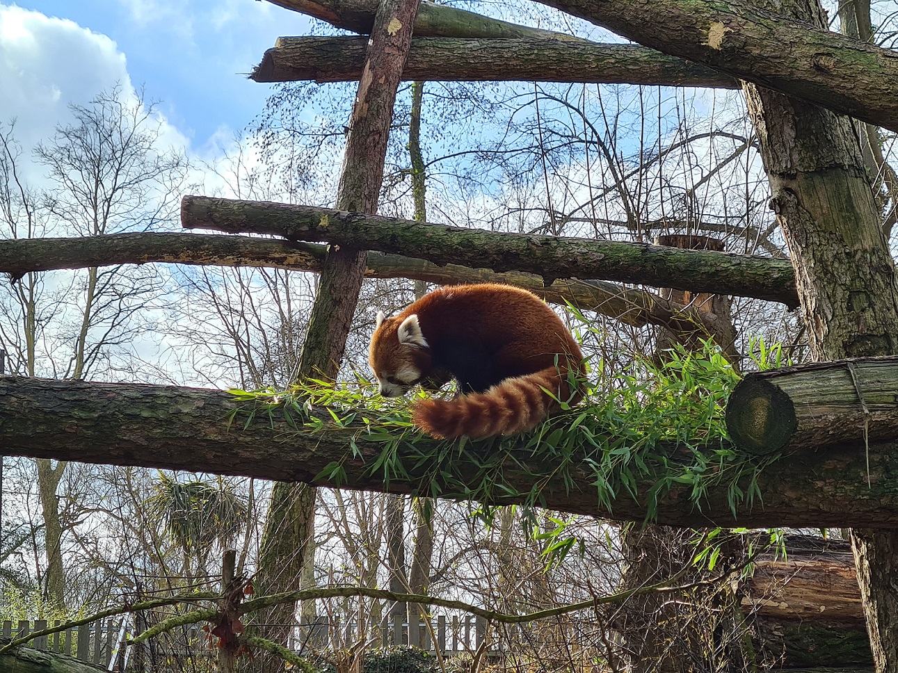 Le Zoo De Lille Rouvre : Informations Et Horaires D'ouverture Le Zoo De Lille Rouvre : Informations Et Horaires D'ouverture