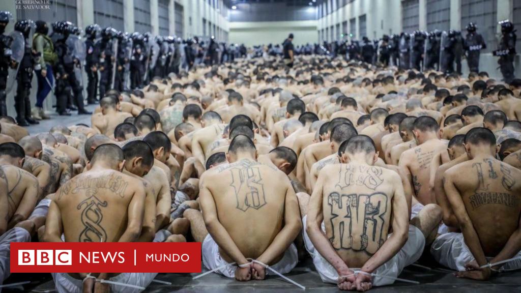 ¿Puede Estados Unidos Deportar A Sus Ciudadanos? El Análisis Legal ¿Puede Estados Unidos Deportar A Sus Ciudadanos? El Análisis Legal