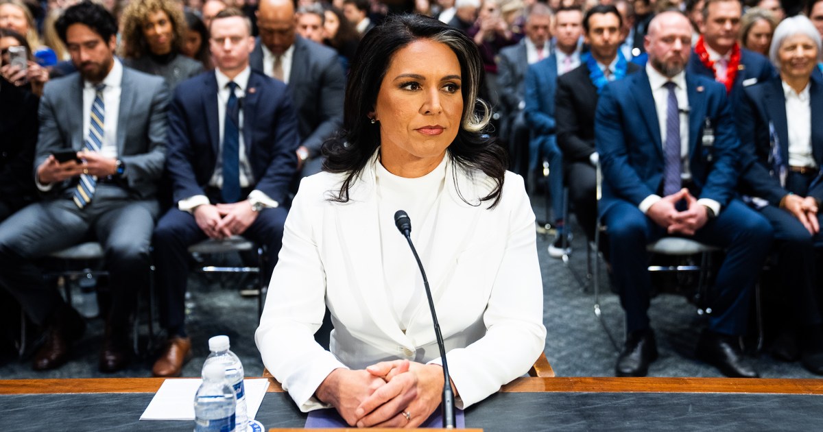 Senate Intelligence Committee Recommends Tulsi Gabbard For Top Post Senate Intelligence Committee Recommends Tulsi Gabbard For Top Post