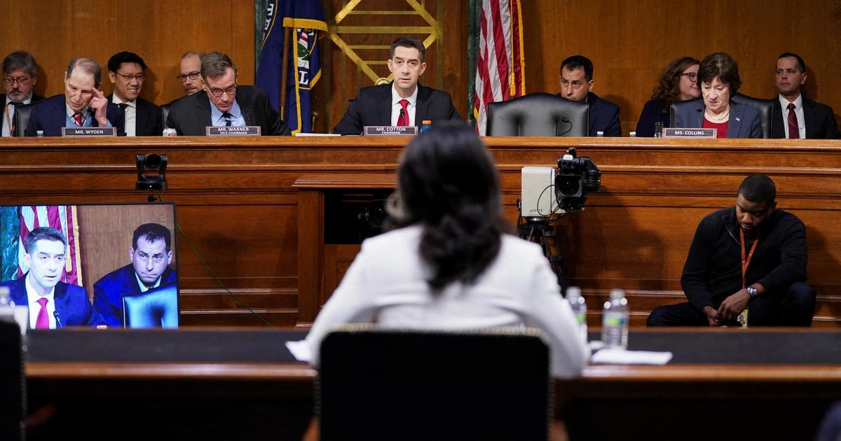 Tom Cotton's Surprising Support For Tulsi Gabbard: An Inside Look Tom Cotton's Surprising Support For Tulsi Gabbard: An Inside Look