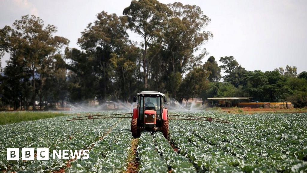 Trump's Executive Order: New Sanctions Target South Africa's Land Reform Policy Trump's Executive Order: New Sanctions Target South Africa's Land Reform Policy