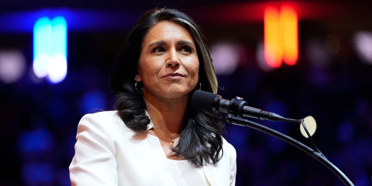 Tulsi Gabbard's Nomination To Oversee US Spy Agencies: A Closer Look Tulsi Gabbard's Nomination To Oversee US Spy Agencies: A Closer Look