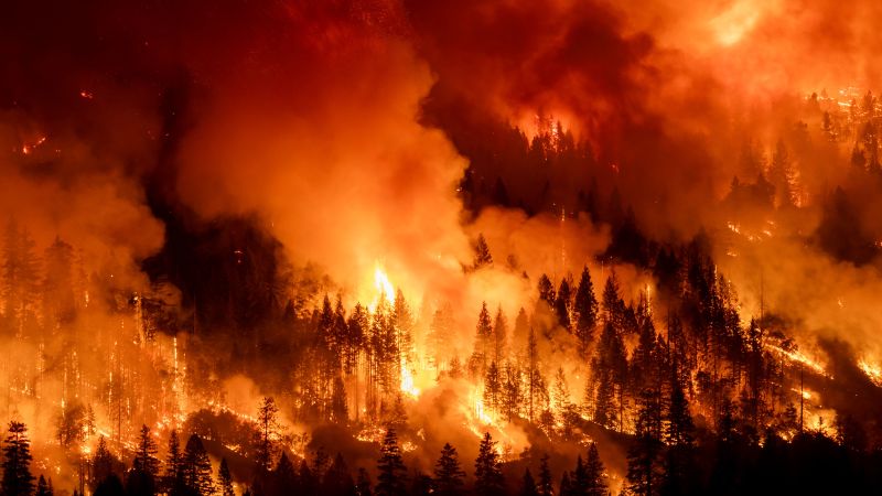 Understanding Arson: The Dark Reasons Behind Devastating Fires Understanding Arson: The Dark Reasons Behind Devastating Fires